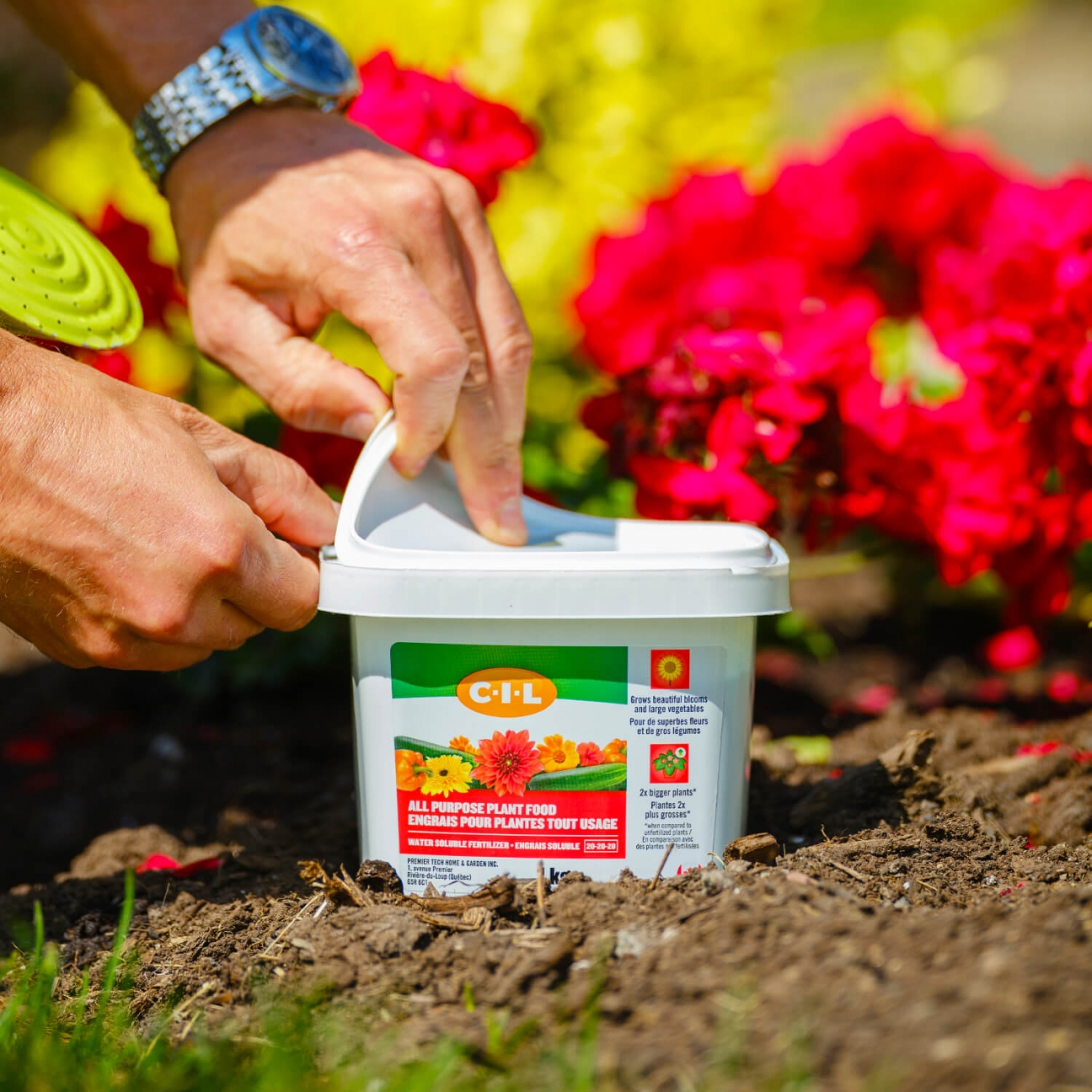 C-I-L® Engrais pour plantes tout usage hydrosoluble 20-20-20