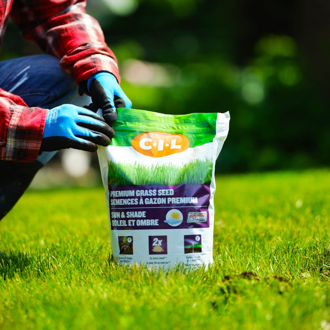 1.5kg Xtreme Quick Mix Grass Seed 