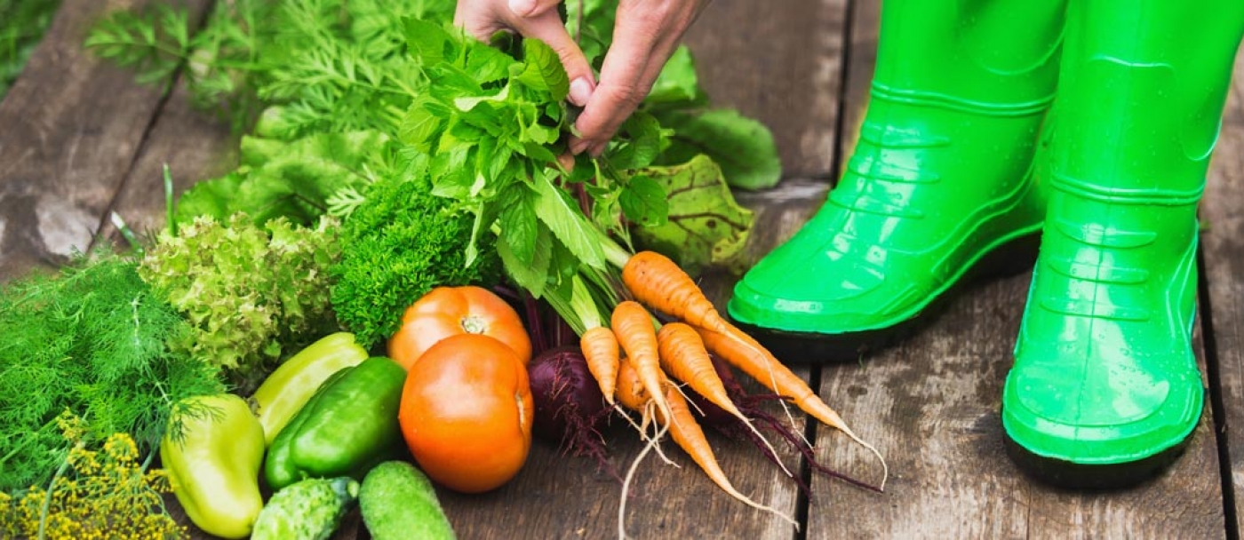 10 Légumes faciles à cultiver
