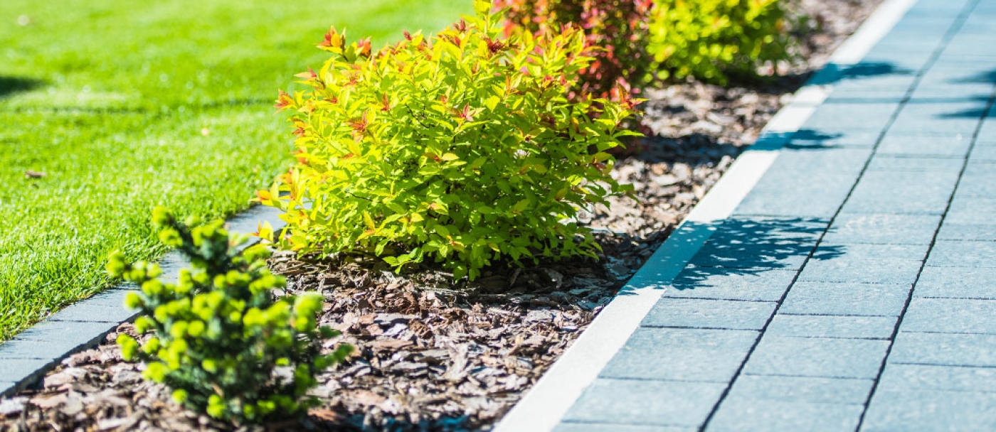 10 Landscaping Tips to Make Your Yard Look Amazing