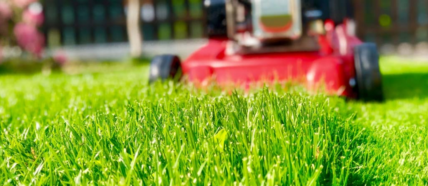 How to mow properly your lawn