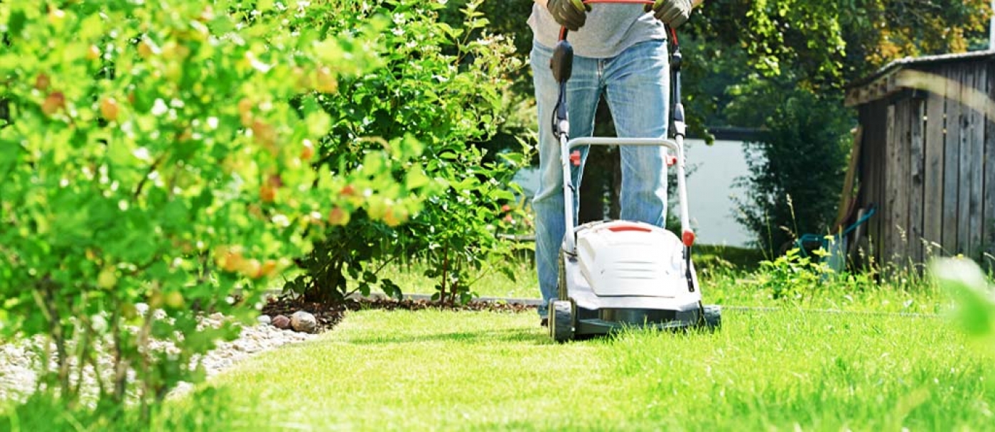 How to prevent insects in your lawn