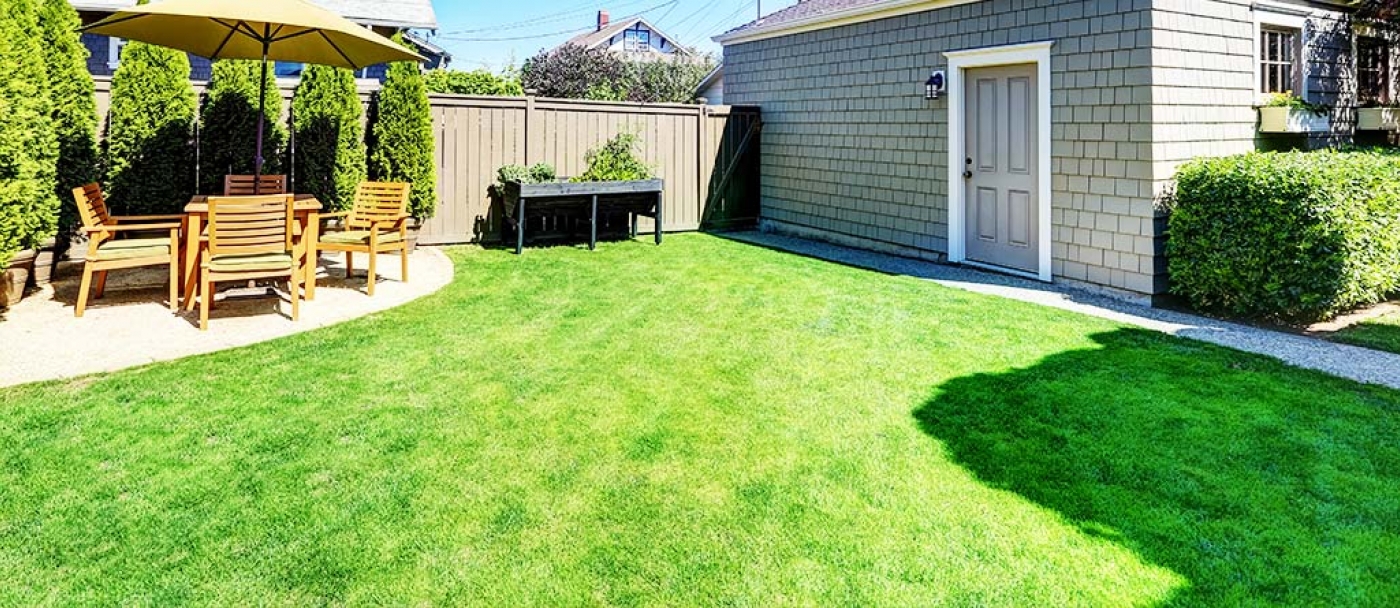 Revitalizing a yellowed lawn