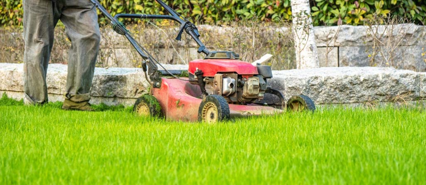 Tips to Prevent Lawn Problems