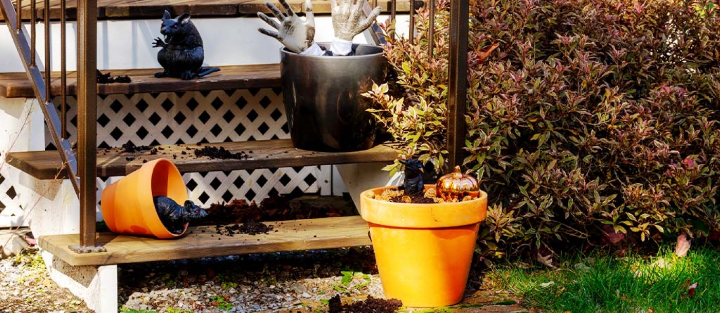 Easy Halloween decoration idea: Recycle your planters