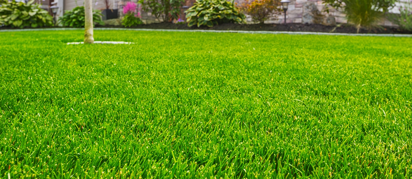 How to Choose the Right Fertilizer for Your Lawn