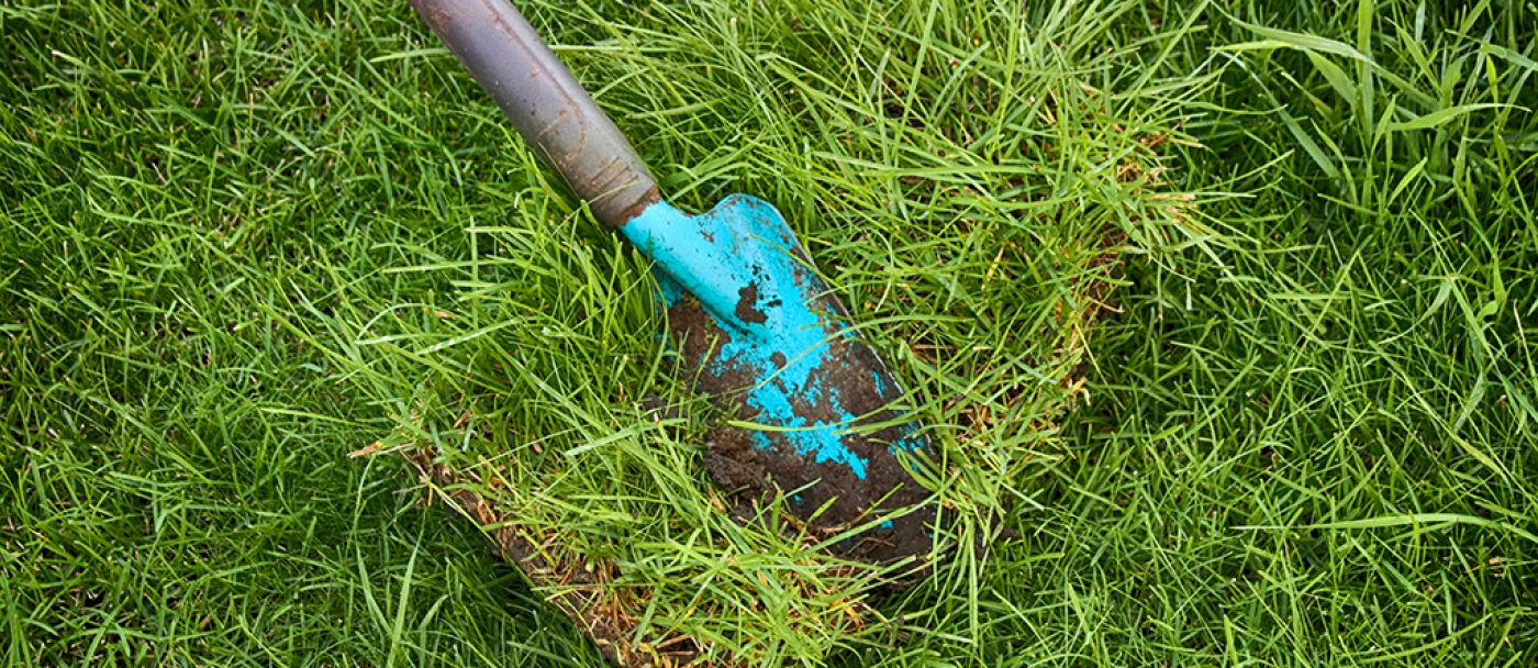 How to replace dead grass lawn restoration