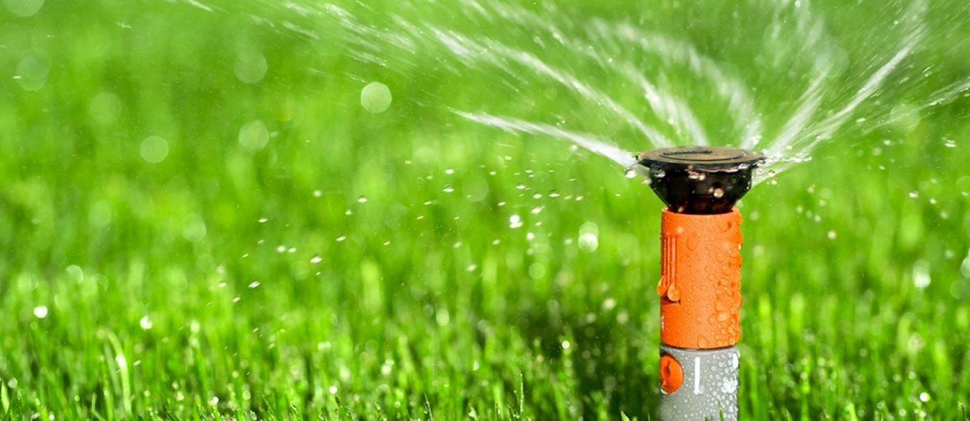 Watering your lawn the right way