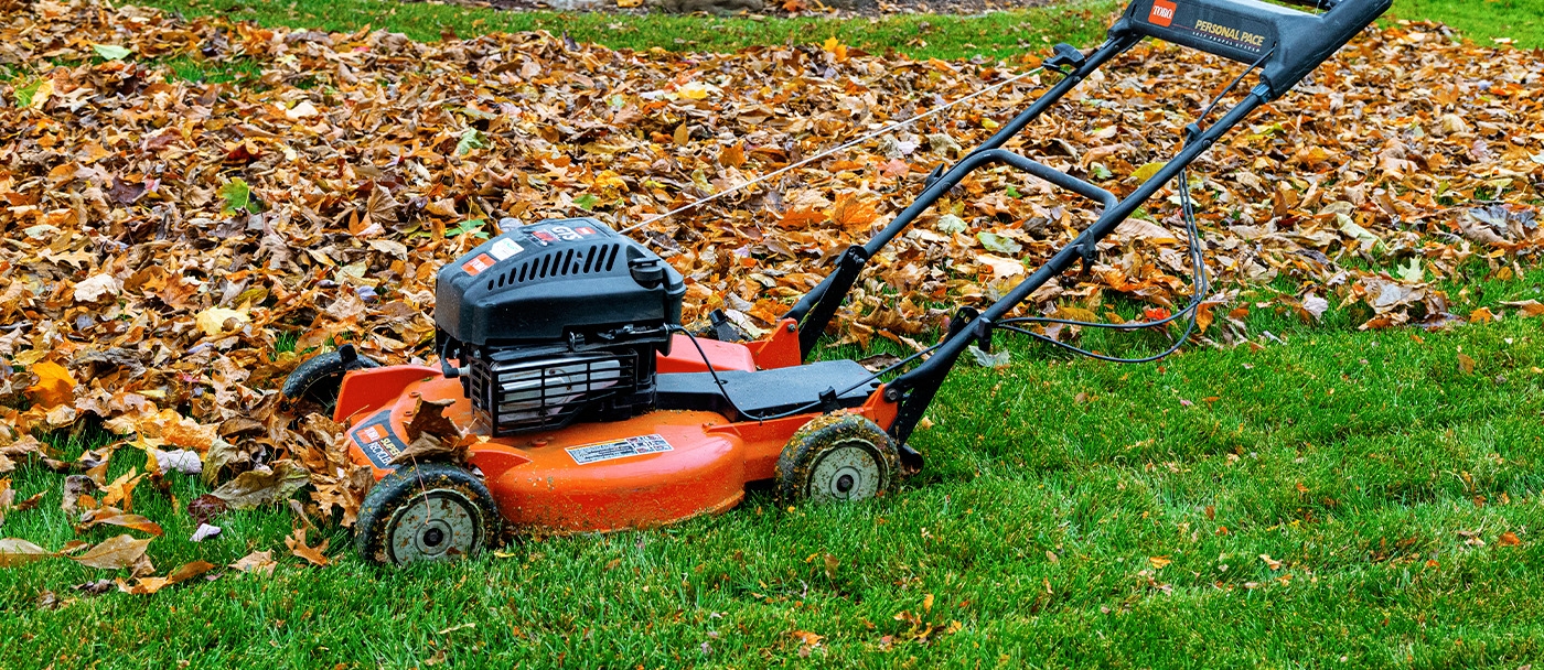 Scrape off the grass and mud stuck under your mower's deck. 