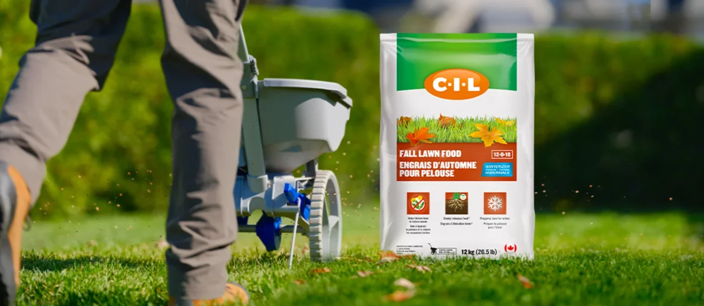 Fall lawn care tips