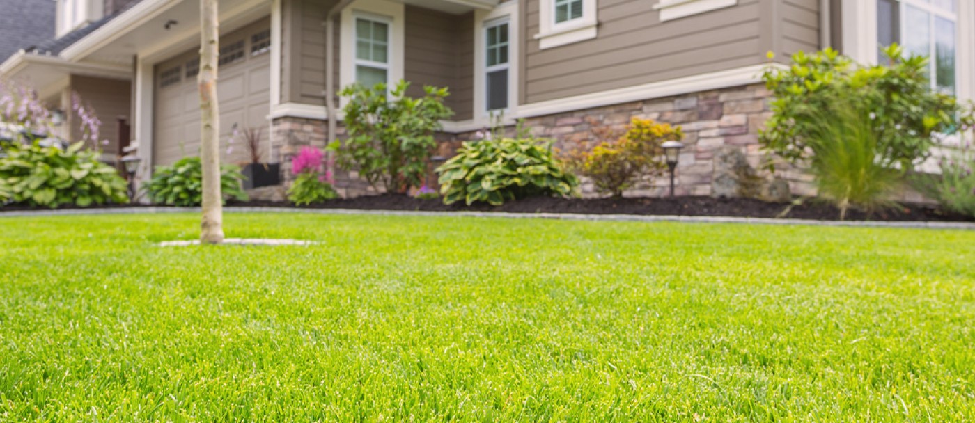 Two ways to effectively get rid of weeds in lawns