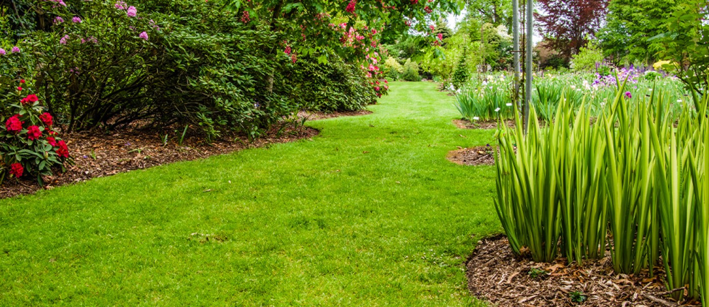How-to-get-the-perfect-lawn-edge-01