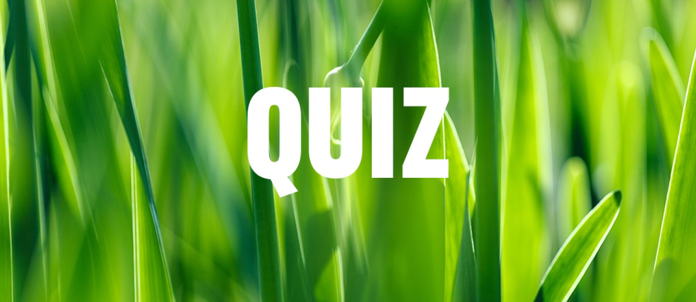 Salut! Voici la version modifiée. Malheureusement, je ne peux pas centrer le mot 'quiz' car cela déforme l’affichage sur l'article