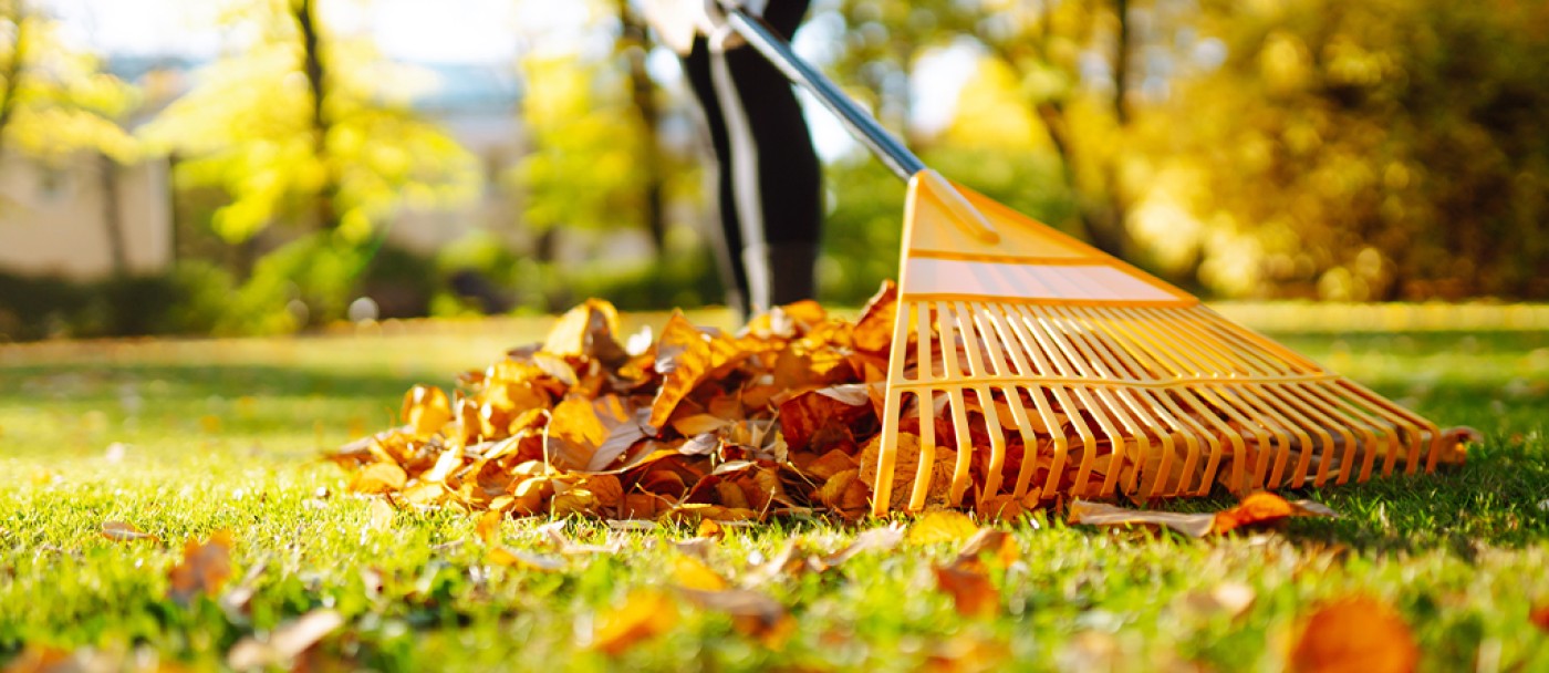 cil-best-time-to-fertilize-a-lawn-01